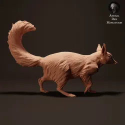 Numbat