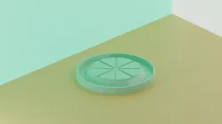 Plant Coaster