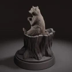 Racoon
