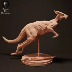 Red Kangaroo Jack Jumping