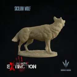 Sicilian wolf : Canis lupus cristaldii