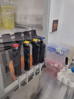 Starlab Elverflow Pipette wall holder