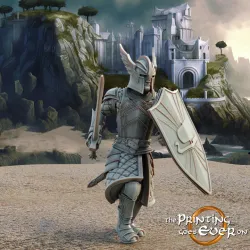Swan Knight - On Foot - A - Presupported
