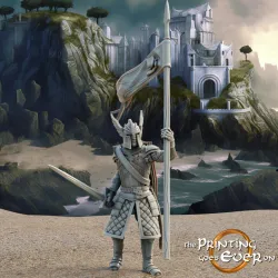 Swan Knight - On Foot - Banner Bearer - Presupported