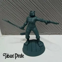 Tabaxi Pirate