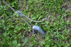 Tent Peg