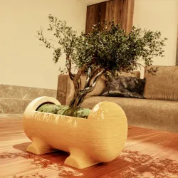 Tube Wooden Bonsai Planter