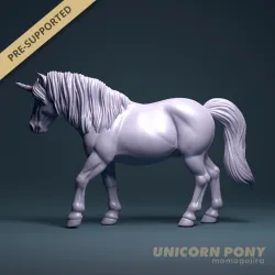 Unicorn Pony