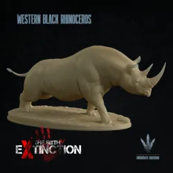Western black rhinoceros : Diceros bicornis longipes