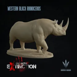 Western black rhinoceros : Walking
