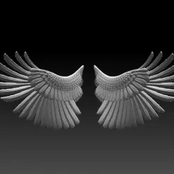 WINGS