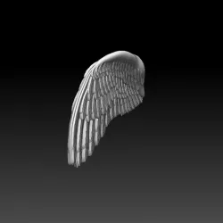 WINGS