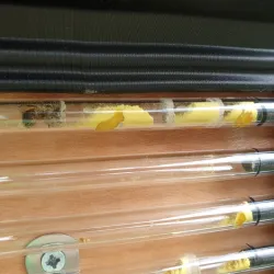 3D printed home for solitary bees using glass tubes!