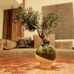 Bonsai Circular Planter