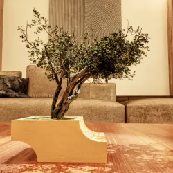 Bonsai Planter / Flower Planter