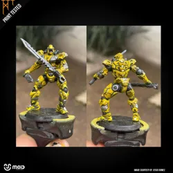 D-29 MECH