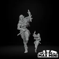 Desert Elf Assassins