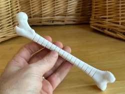 Fidget Femur