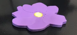 Flower Coaster