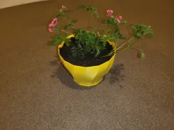 FlowerPot pentamix with smart drain