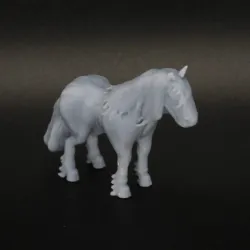 Horse Carriage/Caravan/Wagon