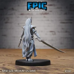 Hunters Guild Elven Red Mage / Dragon Hunter / Elvish Beast Tamer / Draconic Elf Warrior / Evil Drake Army