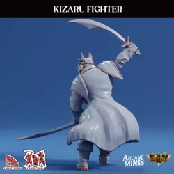 Kizaru Fighter - Pirate