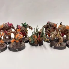 Norgle Team (Swamp Style)