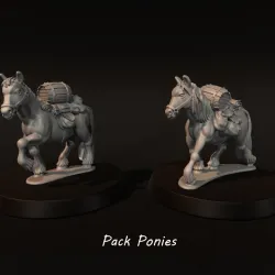 Pack Ponies