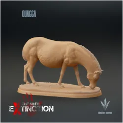 Quagga : Equus quagga quagga
