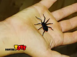 Quick spider