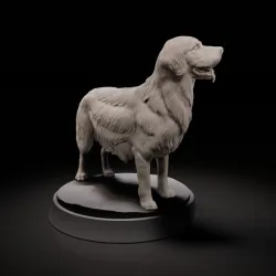 Retriever dog