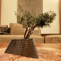 Triangle Bonsai Planter