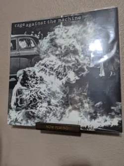 Vinyl record wall mount