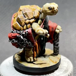 Aisn the Tortle Warlock