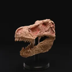 Carved T-Rex Skull