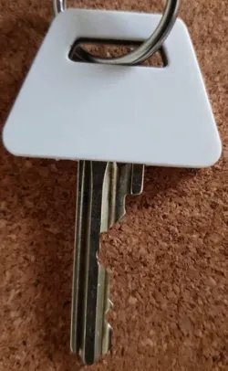 Coloured keycap for Ruko keys