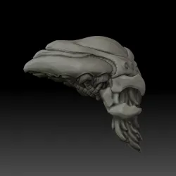 CrabKin -- Hive Leader (Head)