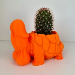 Dicky Turtle Flowerpot A