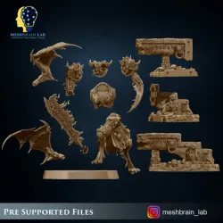 Doom Marine Rewarded by the Gods