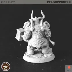 Dwarf Heritage Warrior
