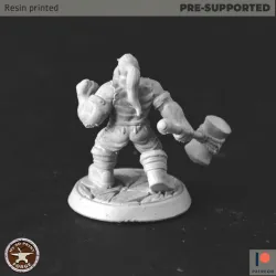 Dwarf Low level Paladin Two models
