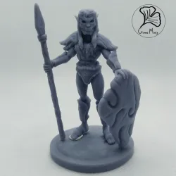 Farlen the wood elf warrior