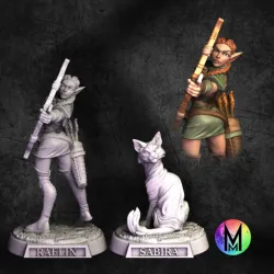 Female Elf Ranger - Raelin the  Archer & her pet - ( Ranger Archer Elf Female)