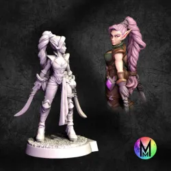 Female Fighter : Kaia the Wood Elf Fighter - ( Female Fighter Elf with two swords)