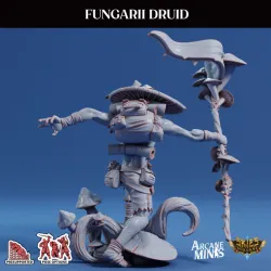 Fungarii Druid