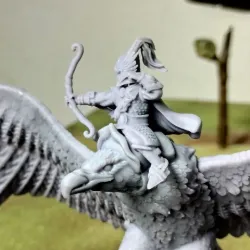 Hero on giant eagle