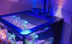 Candydoll Tv Alissap Balogrickmar Candydoll Valensiya S Sets 15 And Im