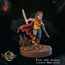 Tim the rogue
