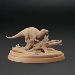 Zalmoxes robustus : Floating